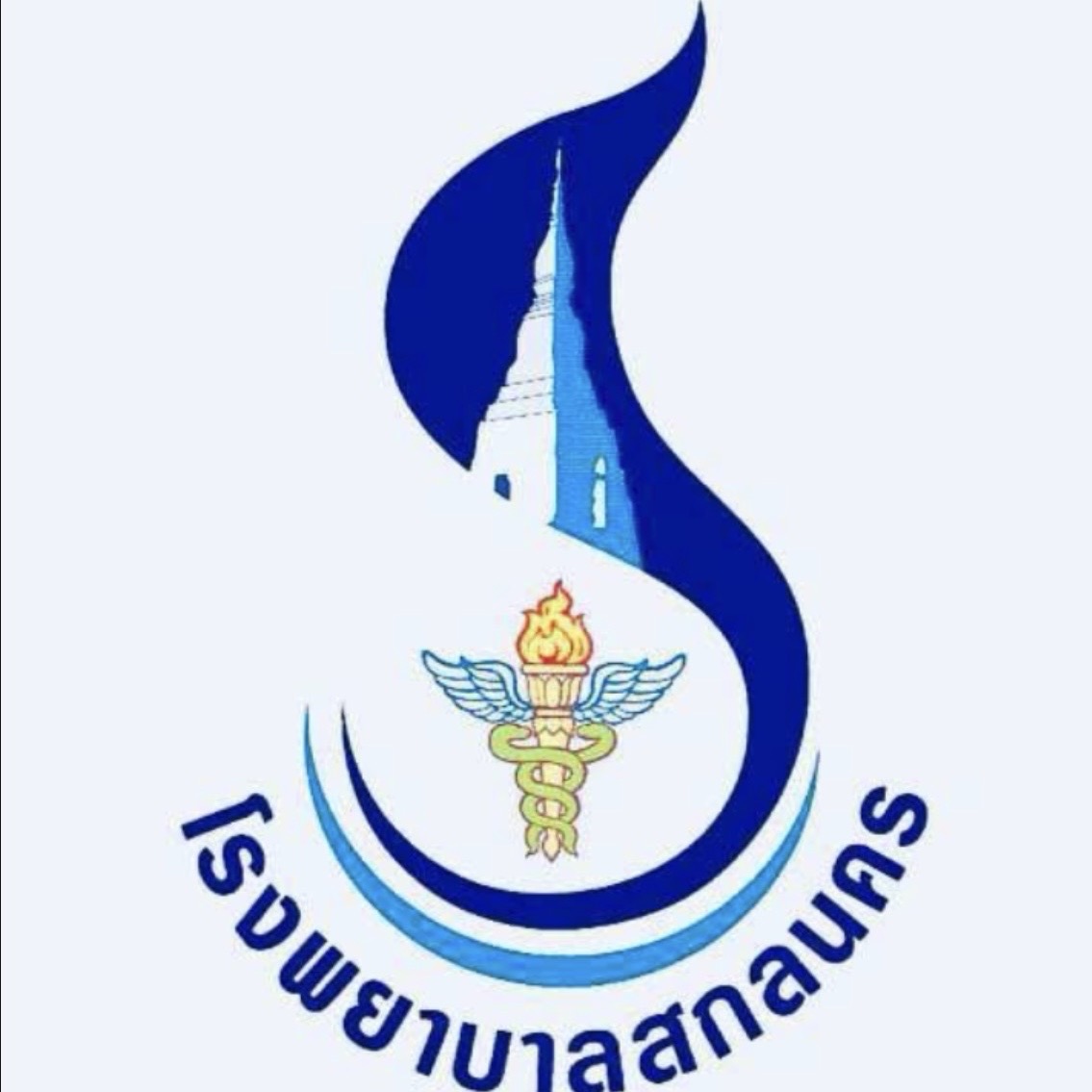 Partner Logo