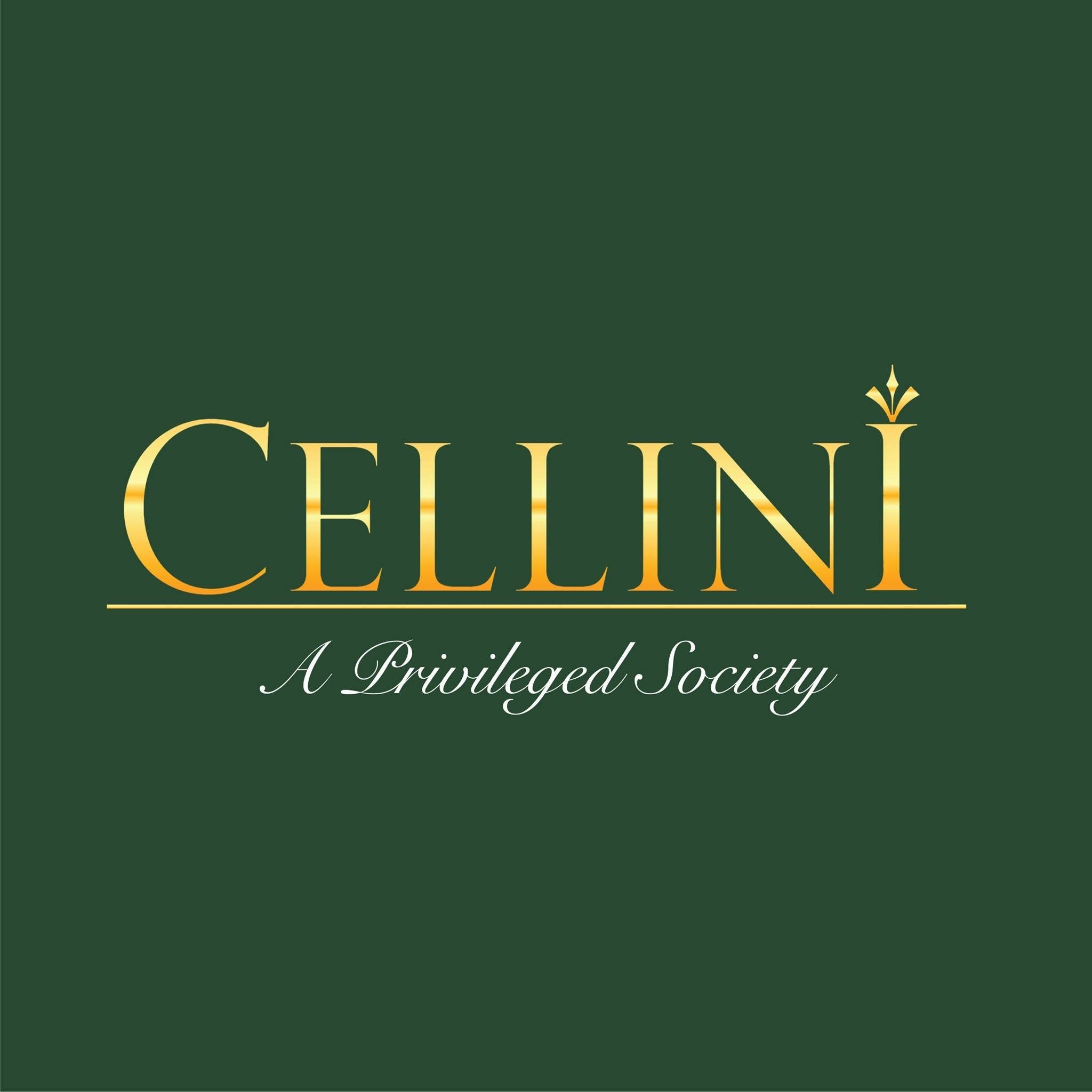 Partner Logo