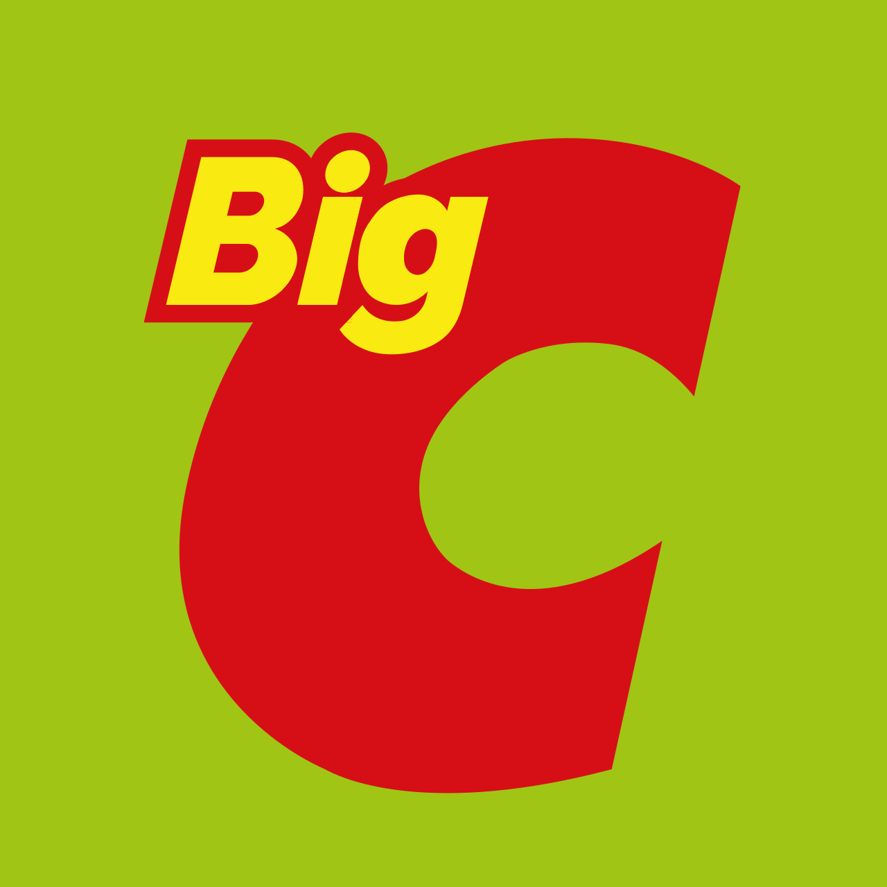 Partner Logo