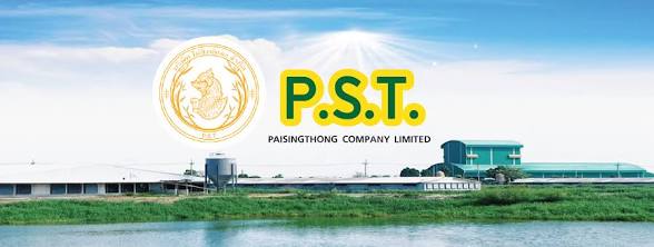 Partner Logo