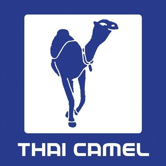 Partner Logo