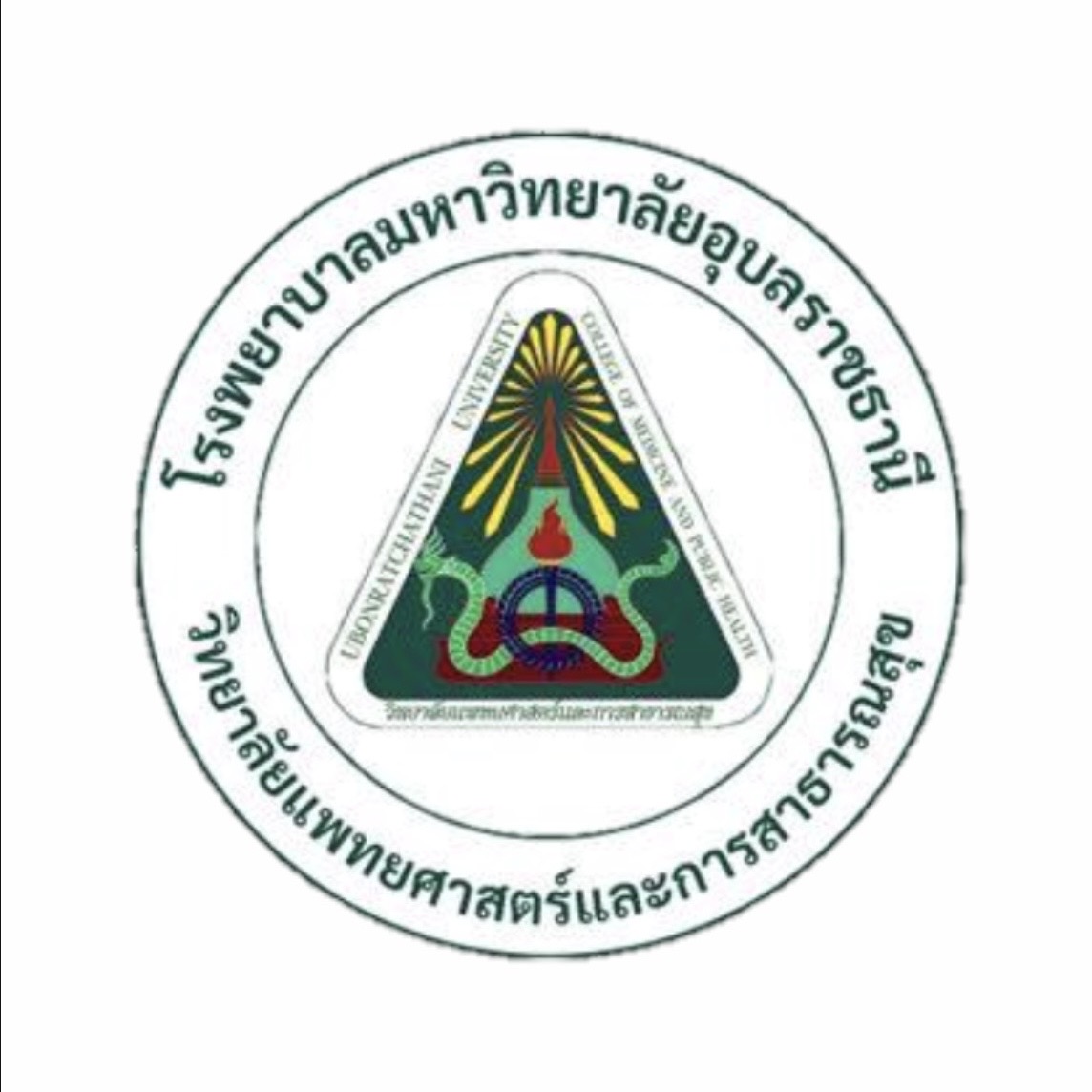 Partner Logo