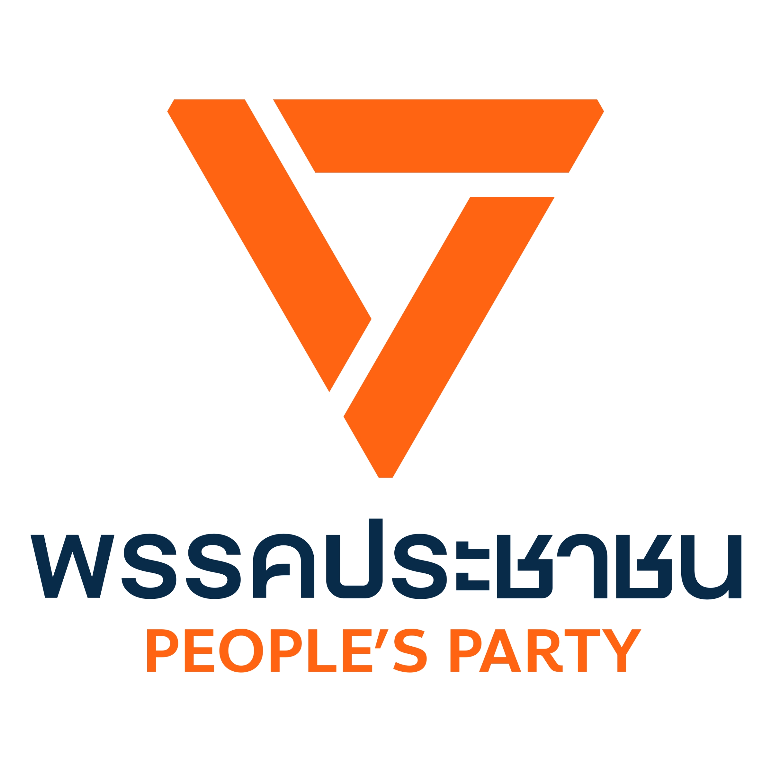 Partner Logo